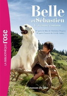 BELLE ET SEBASTIEN AVENTURE CONTINUE ROMAN FI